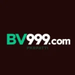 BV999 Game
