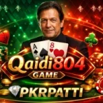 Qaidi804 Game